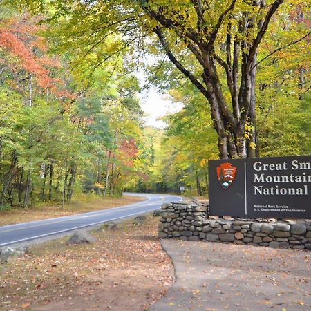 Vila The Great Escape - Min From Parkway With Hot Tub Gatlinburg Exteriér fotografie